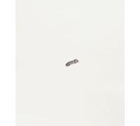 Libri Maria Morganti. Catalogo Della Mostra (Torino, 30 Ottobre 2024-16 Marzo 20