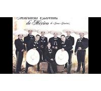 Mariachi Estrellas De Mexico - Toda Una Vida