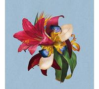 Maribou State - Feel Good Ft Khruangbin Maribou State 12
