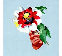 Maribou State Kingdoms in Colour (CD) Album