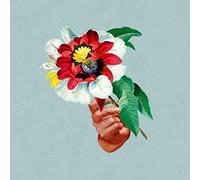 Maribou State - Kingdoms In Colour