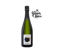 MARIE COPINET NOS PAS DANS...LA TERRE COMPLANTEE CHAMPAGNE BRUT NATURE FRANCIA