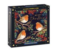 Marie Curie Biglietti di Natale di beneficenza con pettirosso e bacche, confezione da 10 con buste, 14 x 14 cm