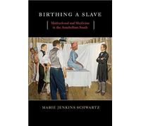 Marie Jenkins Schwartz Birthing a Slave (Tascabile)