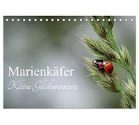 Marienkäfer - kleine Glücksmomente (Tischkalender 2026 DIN A5 quer), CALVENDO Monatskalender: Jedes Kind kennt sie, diese kleinen Glückskäfer und sie ... ein Lächeln ins Gesicht, wenn ich sie sehe.