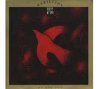 Marillion - No one can