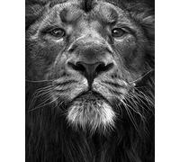 Marina Cano Canvas Wall Art, Multicolore, 40 x 50 x 3.2 cm