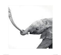 Marina Cano Don' t Get Lost Art Stampe, Multicolore, 60 x 60 cm