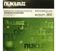 Mario Piu & Mauro Picotto / Arabian Pleasure