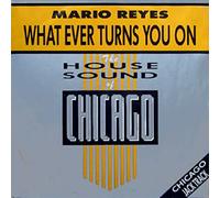 Mario Reyes: What Ever Turns You On [12" Maxi]