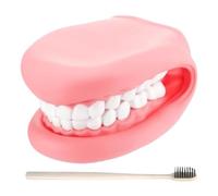 Marionette A Mano Modello Bocca - Insegnamento Dentale Mobile, Denti in PVC 15x12x8,5 cm Spazzolino da Denti da 17 cm, Strumento Educativo Realistico per l'Igiene Orale, Set di Anatomia della Gengiva