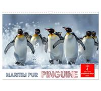 Maritim pur - Pinguine (Wandkalender 2026 DIN A3 quer), CALVENDO Monatskalender: Im Wasser elegant und geschickt -an Land ungelenk