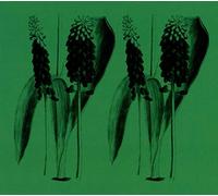 Mark Barrott - Balearics