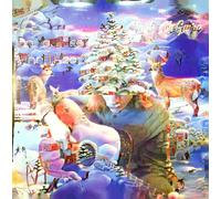 Mark McGuire - Do You Hear What I Hear? LP Vinyl Ambient Electronic Psych