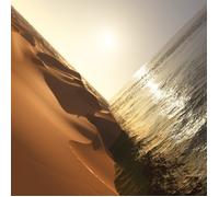 Mark Pritchard Under the Sun (Vinyl LP) 12" Album