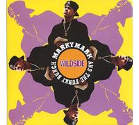 Marky Mark & Funky Bunch - Wildside