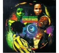 Marley Ziggy and the - Jahmekya
