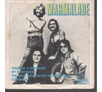 MARMALADE - WALKING A TIGHTROPE 7 INCH (7" VINYL 45) BRAZILLIAN TARGET 1976