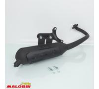Marmitta Malossi per Scooter Piaggio 50 Vespa ET2 1998 al 2017 Wild Lion