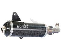 Marmitta polini Black Aluminium/vespa gts 300...