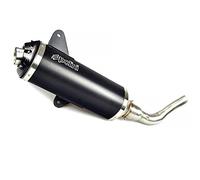 MARMITTA VESPA 125/200/250/300 GTS