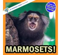 Marmosets!: A My Incredible World Picture Book for Children