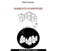 Marmotte domestiche