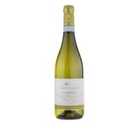 Verdicchio Dei Castelli Di Jesi Classico Superiore DOC Luzano 2021 Marotti Campi - Vini
