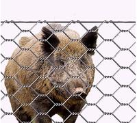 MARRA EDILE 25 ML RETE CINGHIALE H 200 CM RECINZIONE RECINTO ANIMALI