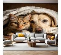 Marrone Carta da Parati Fotografica Animali cani e gatti 350x250 cm Fotomurali Poster Giganti TNT Murale Art Sfondo Moderne Decorazione Soggiorno Camera de Letto Sala Ufficio