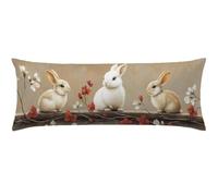 Marrone Cuscino per Dormire Laterale 40x120 Ruggine Cuscino Lungo per Dormire Lateralmente, Cuscini per il Collo, per Gravidanza e Sostenere la Maternità, Morbido Velluto Federe Cuscini Letto w0-748