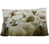 Mars & More Mars & More Cuscino ''Pecora'' grande 60x40cm