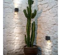 Marset Lab lampada a parete, 2 luci, LED, A646-091, Lab [Lampade per Esterni > Lampade a Parete]