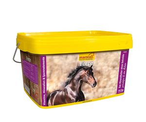 Marstall 10kg Forza Mangime Minerale Secchio