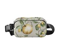 Marsupio a tracolla, da donna, da uomo, con frutto dolce, turchese, grande capacità, Colore 12, 1 Size