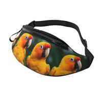 Marsupio a tracolla grande per donne e uomini, con stampa di palme hawaiane al tramonto, marsupio da uomo e da donna, alla moda, con cinghia regolabile, per allenamento, corsa, viaggi, Pappagalli