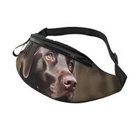 Marsupio a tracolla grande per donne e uomini, grazioso marsupio stampato Corgi per uomo e donna, marsupio alla moda con cinturino regolabile per allenamento, corsa, viaggi, Labrador Retriever, Taglia