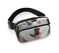 Marsupio con cane Husky Piquant per donne e uomini, marsupio regolabile casual per viaggi, sport, escursionismo, bianco, 20 x 13 cm, Bianco, 7.9x5.1inches