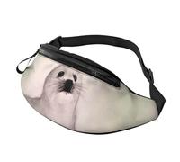 Marsupio con dinosauro in stile cartone animato e marsupio casual, unisex, regolabile, per escursionismo, corsa, ciclismo, Pittura Sigillo Arpa, Taglia unica
