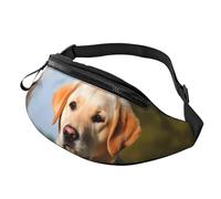 Marsupio con gufo volante per uomo e donna, borsa a tracolla regolabile, adatto per viaggi, escursionismo, escursionismo, corsa, Carino cane labrador, Taglia unica