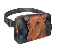 Marsupio da donna e uomo, impermeabile, a tracolla, con cinghia regolabile, per corsa, allenamento, viaggi, aereo retrò, Multicolore 8., Taglia unica, Organizer per borse