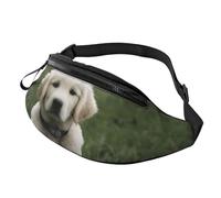 Marsupio elegante 3D Golden Retrievers in vita, per donne e uomini, leggero, con tasche con cerniera, cintura regolabile per passeggiate con il cane, corsa, ciclismo, escursionismo, sport all'aria