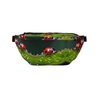 Marsupio grande con coccinella a sette stelle, regalo per sport, festival, allenamento, viaggi, corsa, casual, Nero , Taglia unica