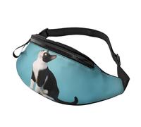 Marsupio grande con gatto nero, unisex, con jack per cuffie e tasche con cerniera, cintura regolabile per sport, corsa, escursionismo, campeggio, allenamento, ciclismo, 3D, Taglia unica, Borsone da