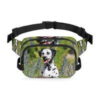 Marsupio multifunzione a forma di cane dalmata con fiori, per viaggi, sport, corsa, marsupio per cani, marsupio da donna, uomo, ragazza e ragazzo, Colore, XL, Organizer per borse