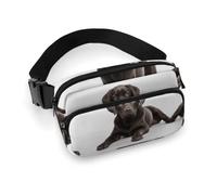 Marsupio per cani per donne e uomini, borsa casual regolabile per viaggi, sport, escursionismo, bianco, 20 x 13 cm, Bianco, 7.9x5.1inches