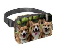 Marsupio per donne e uomini, marsupio per attività all'aperto, sottile, da corsa, per passeggiate, jogging, escursionismo, viaggi, allenamento, tre corgis sul prato, Multi, 1.5x9.0x5.9in/4x23x15cm,