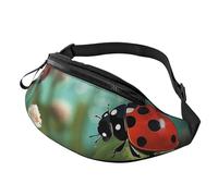 Marsupio per spartiti musicali per donne e uomini alla moda marsupio regolabile per allenamento corsa viaggio marsupio casual, Coccinella Pa, Taglia unica