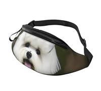 Marsupio unisex con stampa di un simpatico cane Bichon Frise, accessorio da viaggio per occhiali da sole, portafogli, passaporti e chiavi