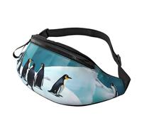 Marsupio unisex con stampa pinguini sull'iceberg, accessorio da viaggio per occhiali da sole, portafogli, passaporti e chiavi